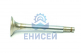Клапаны (4вп+4вып.) 24-1007015/13-1007010 к-т